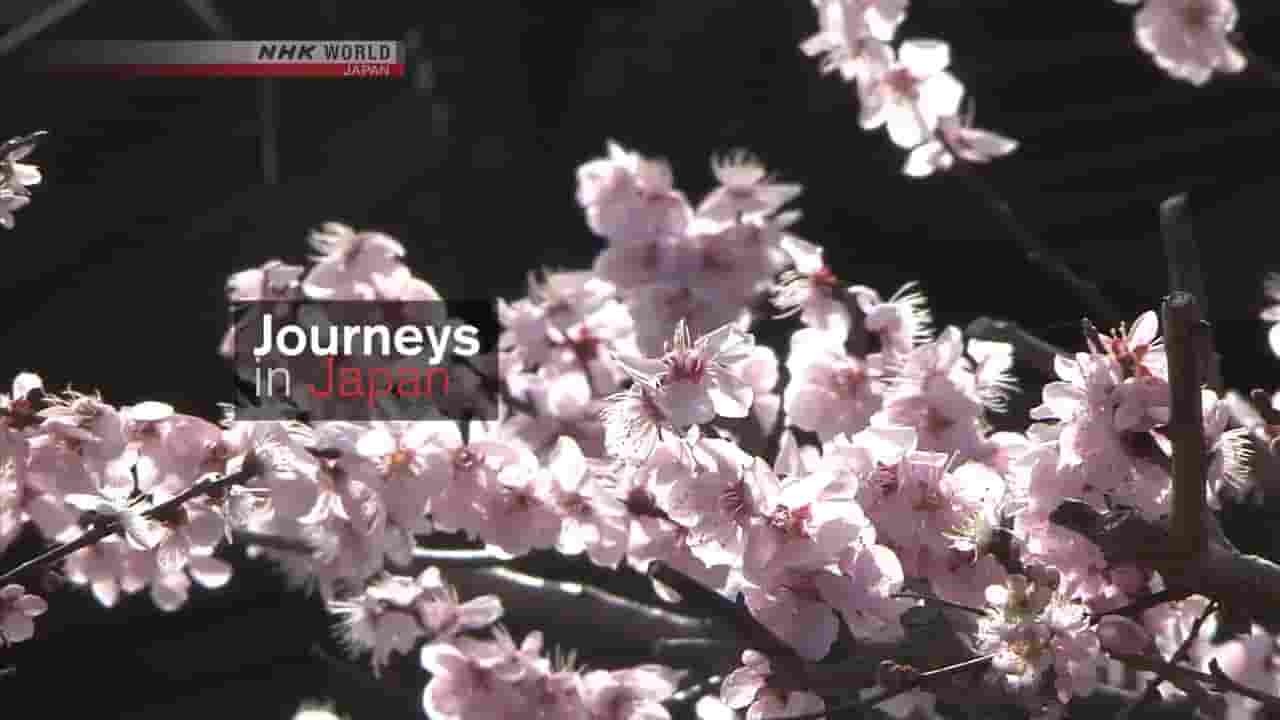 NHK纪录片《旅行在日本 Journeys in Japan 2017》全10集 英语英字 1080P高清网盘下载