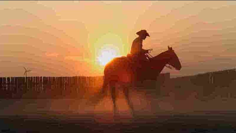 PBS纪录片《美国马 American Horses 2022》全1集 英语中英双字 1080P高清网盘下载