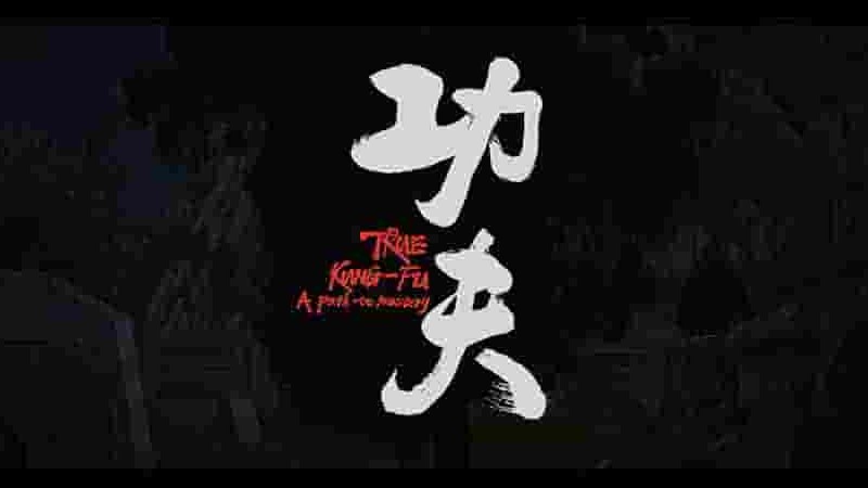 国产纪录片《功夫/真功夫：通往精通之途 True Kung-Fu: A Path to Mastery 2023》第1季全3集 国语中字 4K超高清网盘下载 