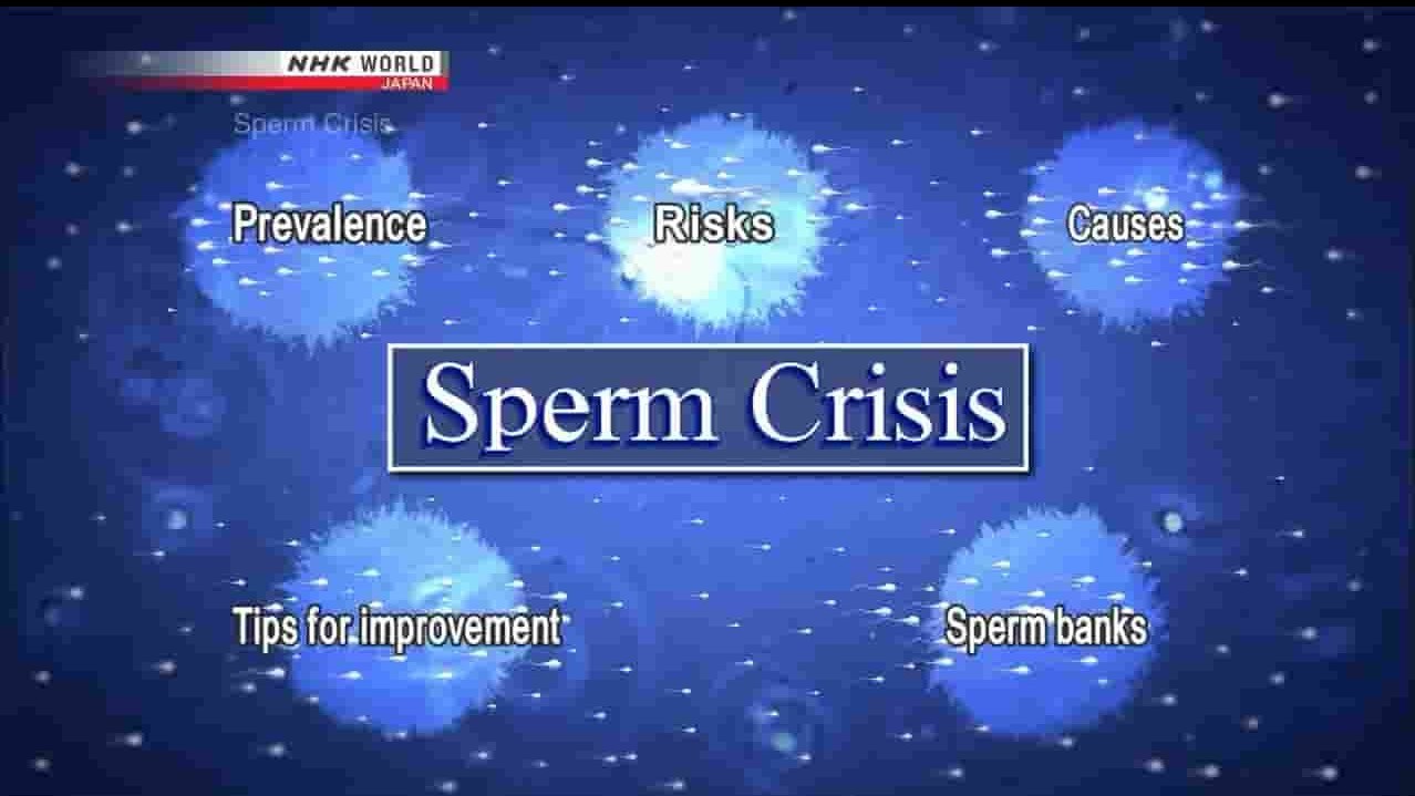 NHK纪录片《精子危机 The Sperm Crisis 2018》全1集 英语无字 720P高清网盘下载 