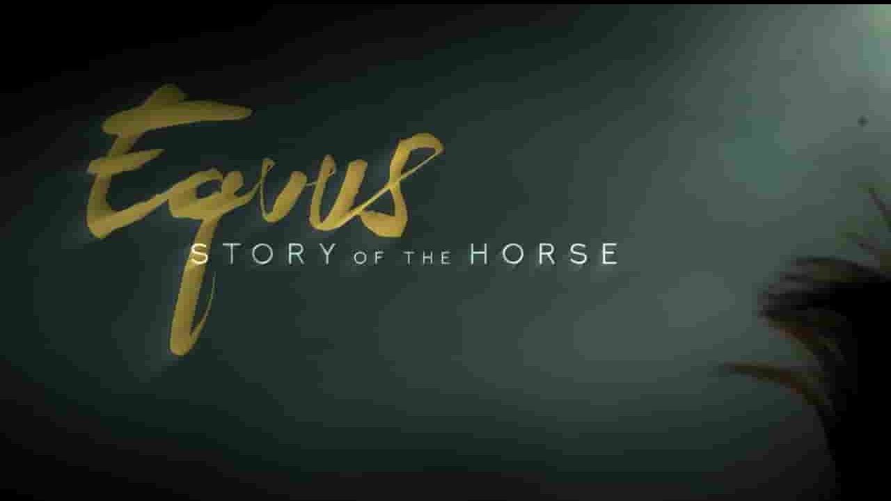 PBS纪录片《马的故事 Equus Story of the Horse》第1季全3集 英语英字 720P高清网盘下载