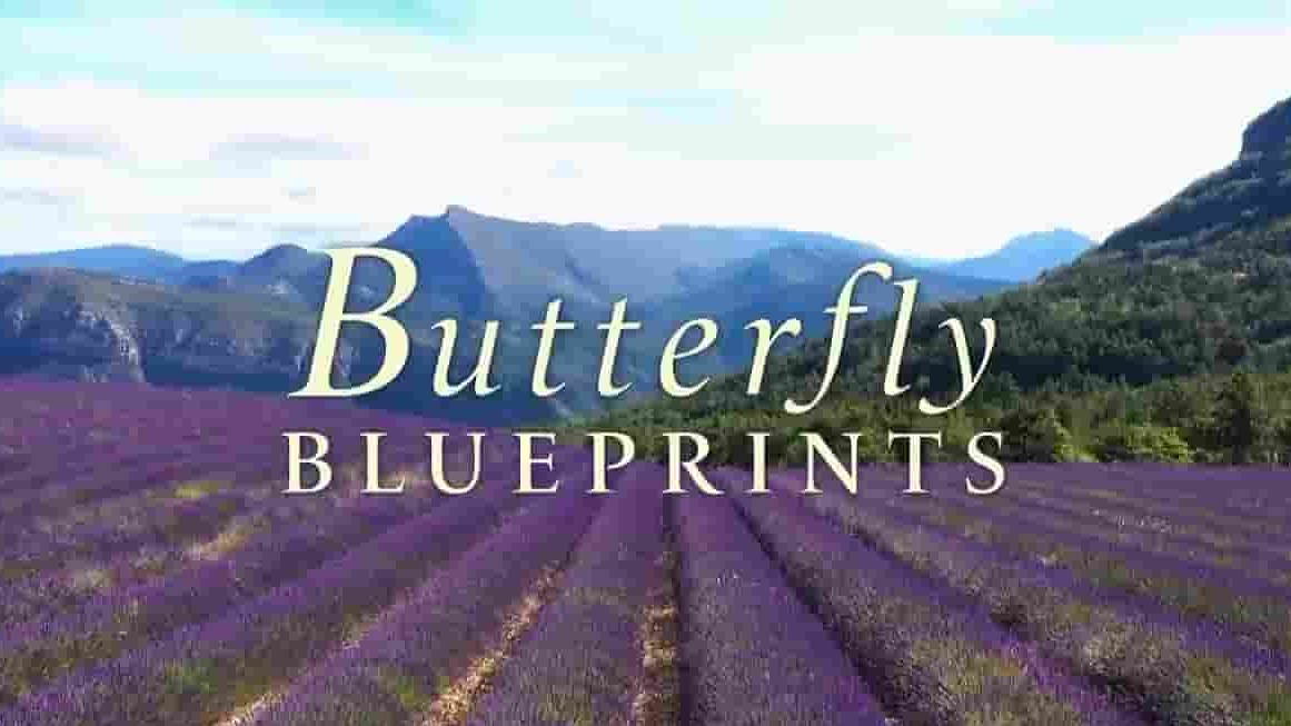 PBS纪录片《蝴蝶蓝图 Butterfly Blueprints 2022》全1集 英语中字 720P高清网盘下载