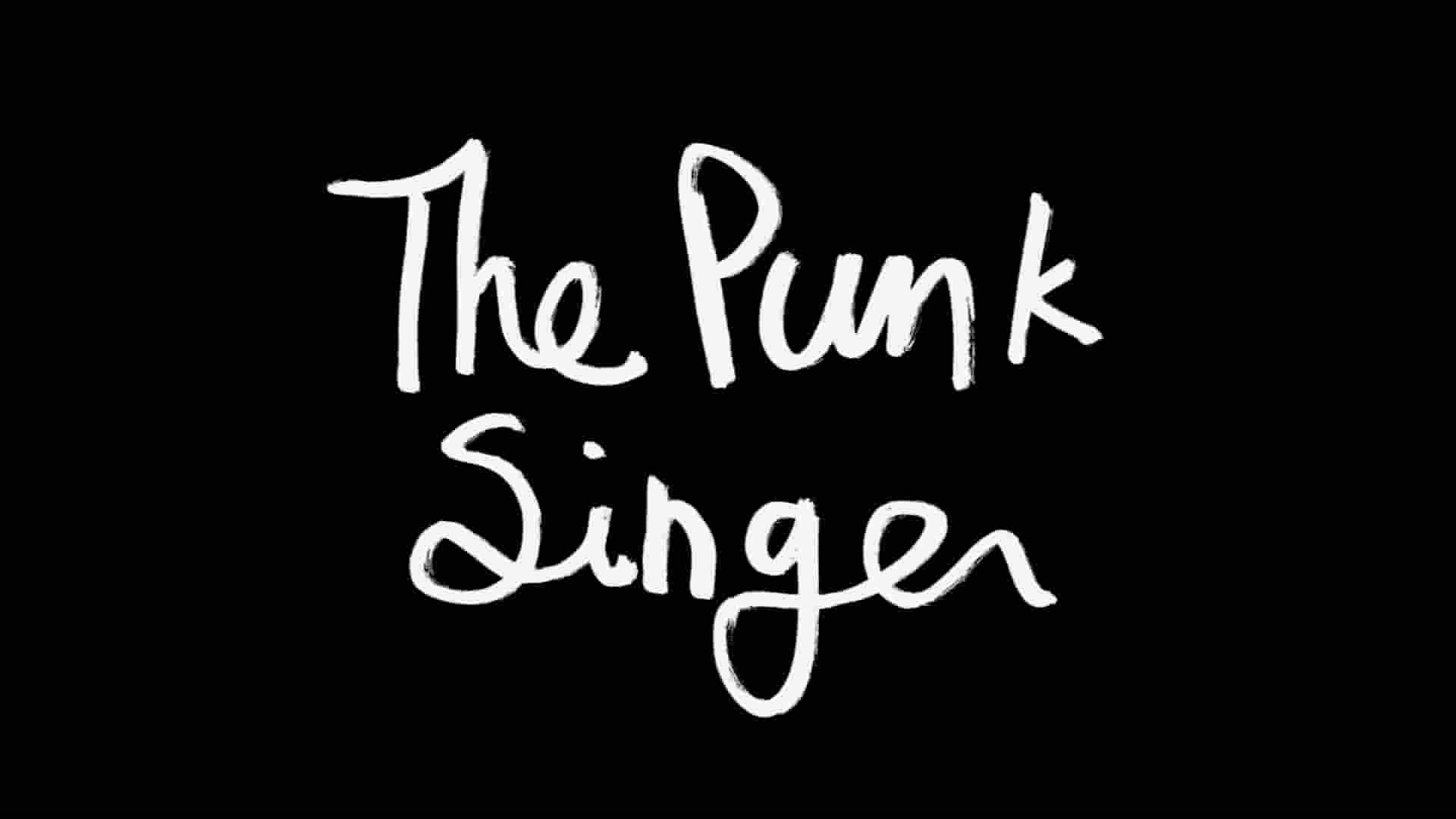 美国纪录片《朋克歌手 The Punk Singer 2013》全1集 英语中英双字 1080P高清网盘下载