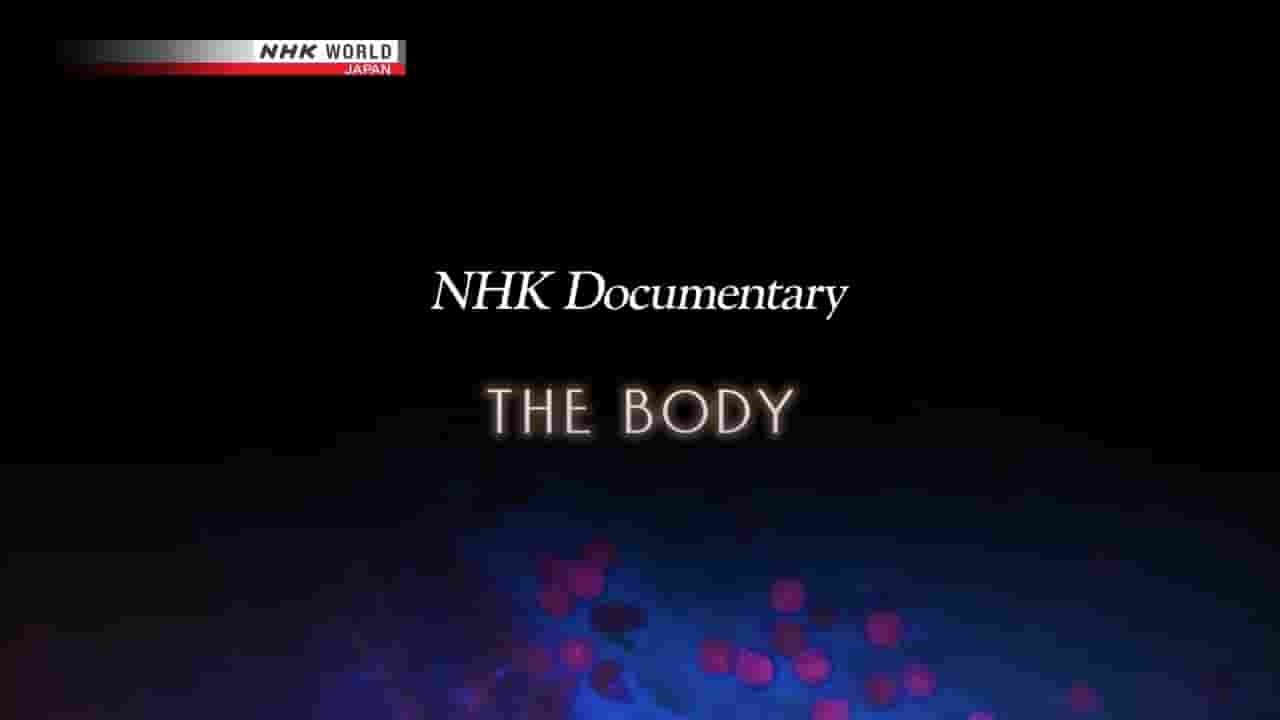 NHK纪录片《人体 The Body 2019》全8集 英语无字 720P高清网盘下载