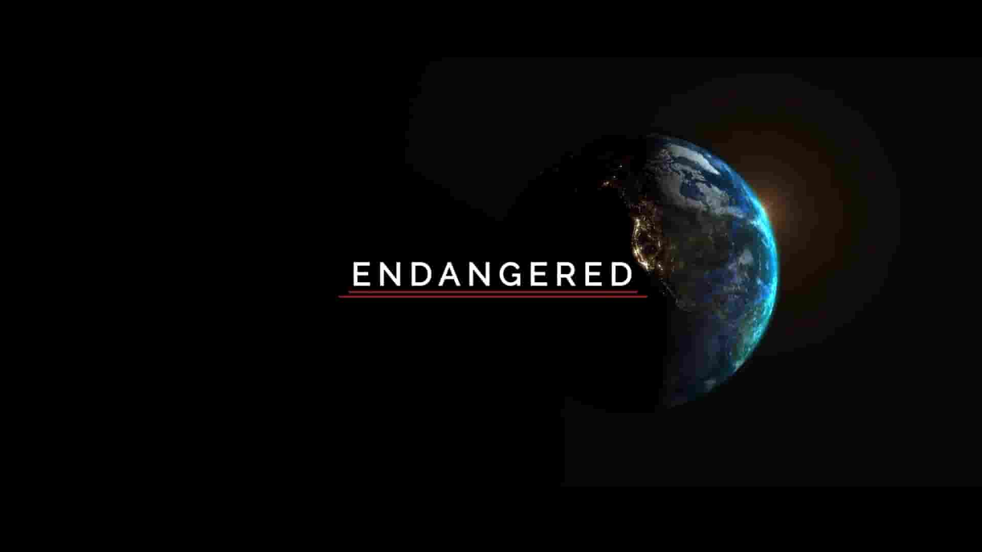 探索频道《濒危 Endangered 2023》全1集 英语中英双字 1080P高清网盘下载