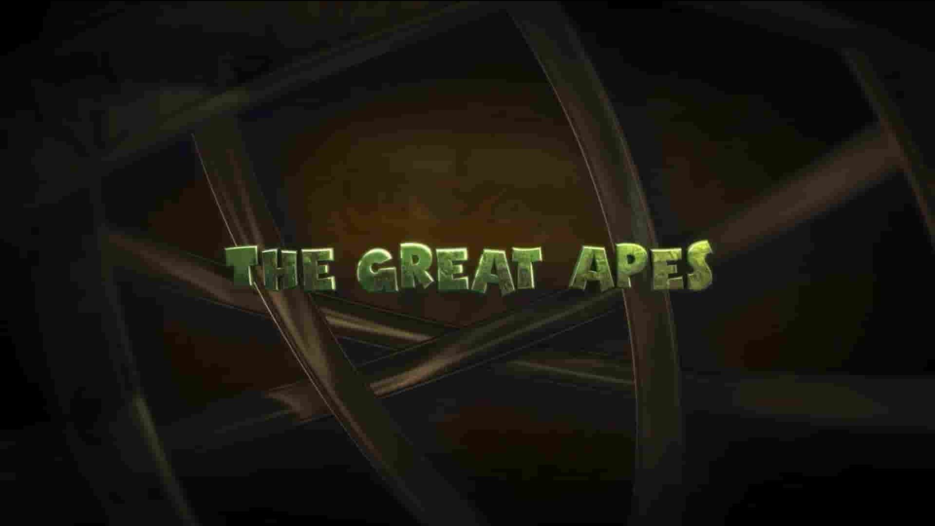 Curiosity纪录片《类人猿 The Great Apes 2023》全1集 英语中英双字 1080P高清网盘下载