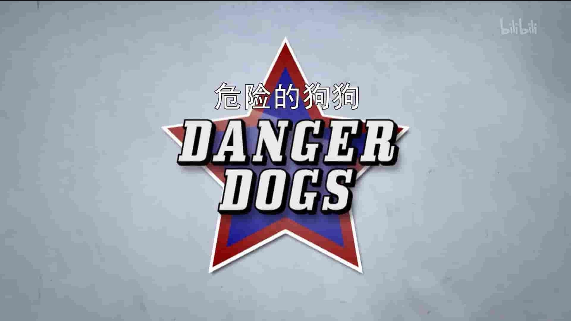 美国纪录片《危险的狗狗 Danger Dogs 2018》全12集 英语中字 1080P高清网盘下载