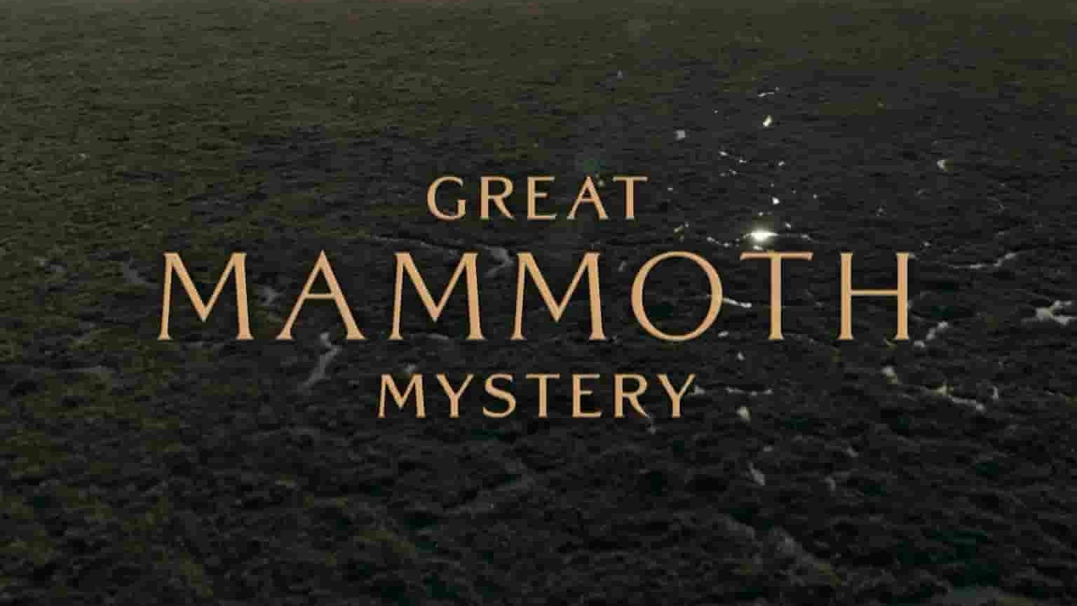 PBS纪录片《猛犸象之谜 Great Mammoth Mystery 2022》全1集 英语中英双字 1080P高清网盘下载