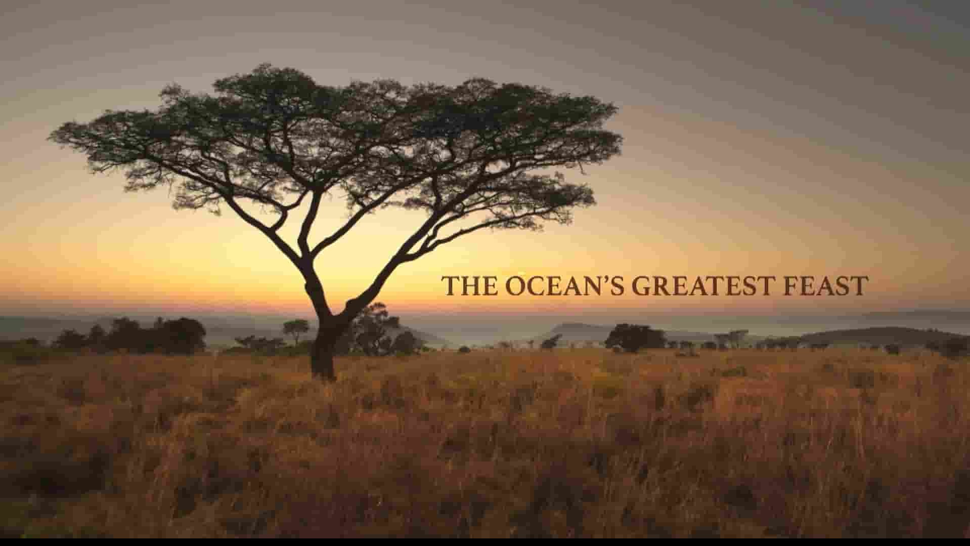 PBS纪录片《海洋最伟大的盛宴 The Ocean