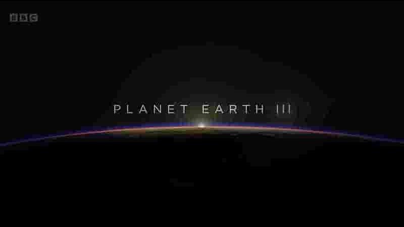 BBC纪录片《地球脉动3 Planet Earth 2023》第3季全8集 英语中英双字 4K超高清网盘下载