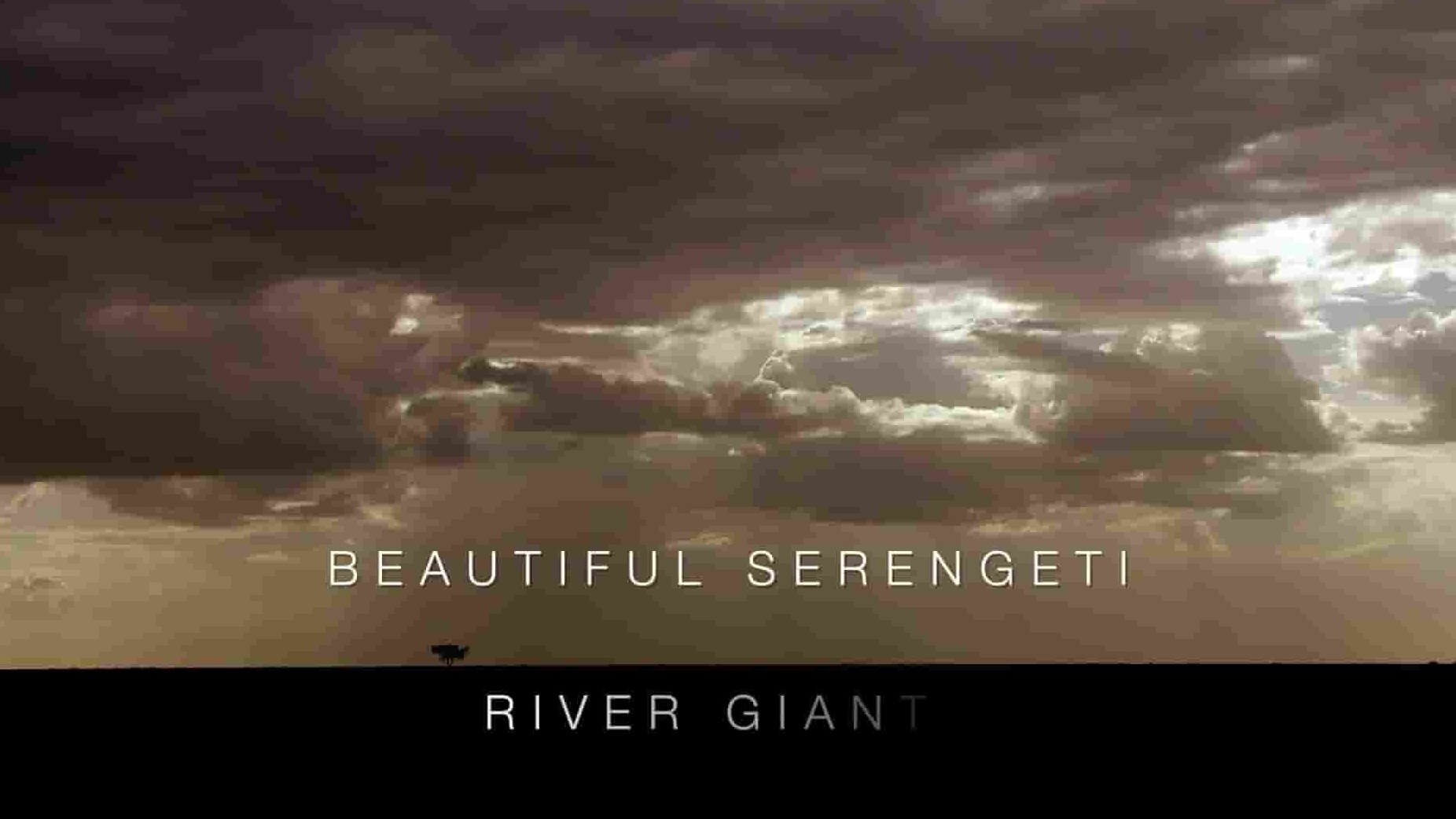 PBS纪录片《美丽的塞伦盖蒂 Beautiful Serengeti 2017》第1季全12集 英语中英双字 1080P高清网盘下载
