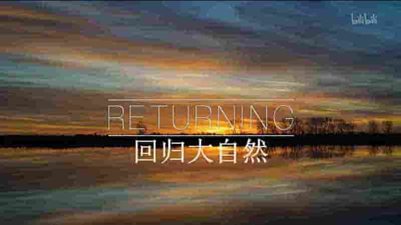 英国纪录片《回归大自然 Returning the Wild 2015》全3集 英语中英双字 1080P高清网盘下载