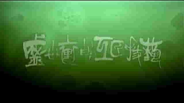 国产纪录片《盛世里的工匠技艺 2008》全2集 国语中字 720p高清网盘下载