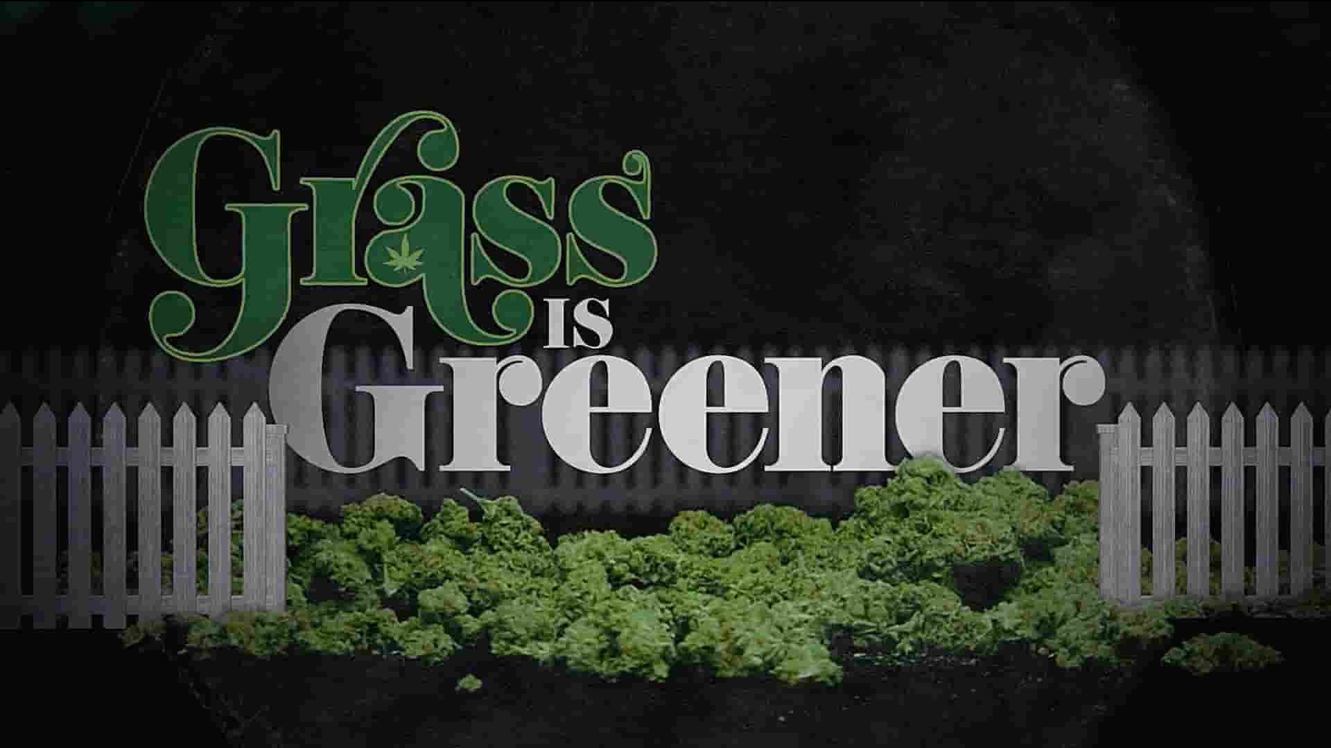 Netflix纪录片《印度妙草 Grass is Greener 2019》全1集 英语中英双字 1080P高清网盘下载