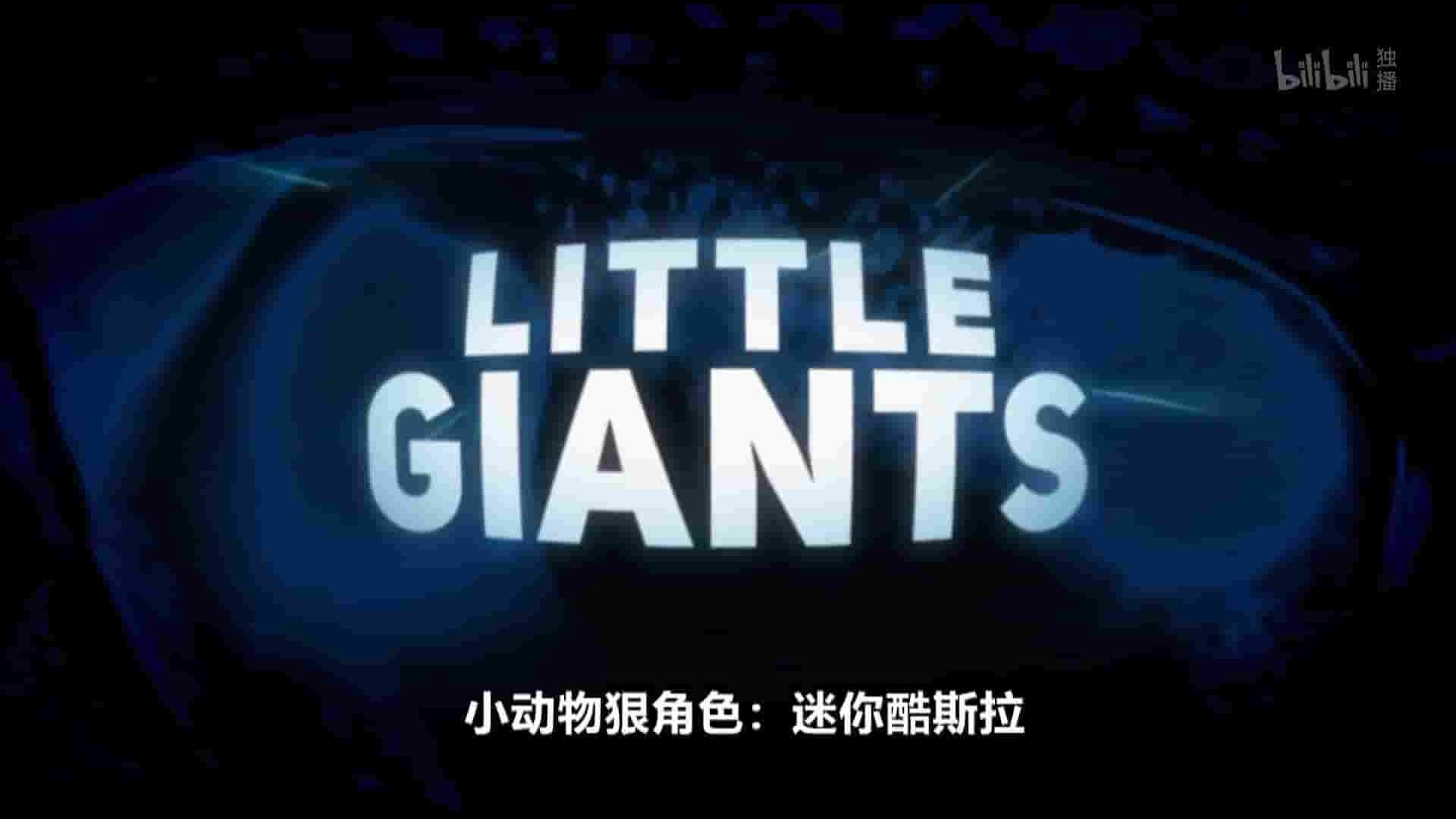 探索频道《小动物狠角色 Little Giants 2019》全20集 英语中英双字 1080P高清网盘下载