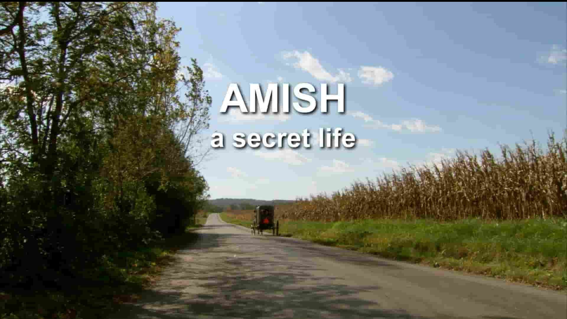 BBC纪录片《阿米什人：秘密生活 Amish: A Secret Life 2012》全1集 英语中英双字 1080P高清网盘下载