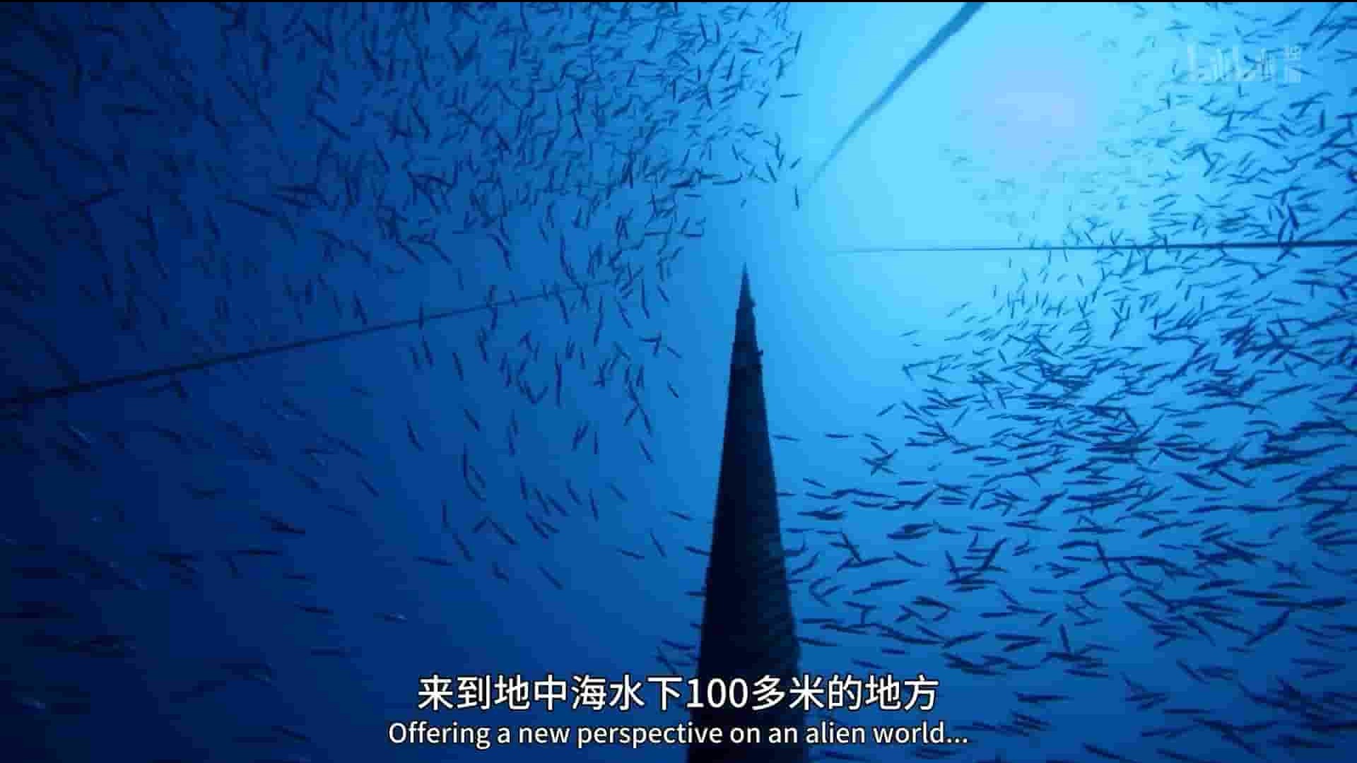 法国纪录片《极度深海 The Deep Med 2020》全1集 国语中字 1080P高清网盘下载