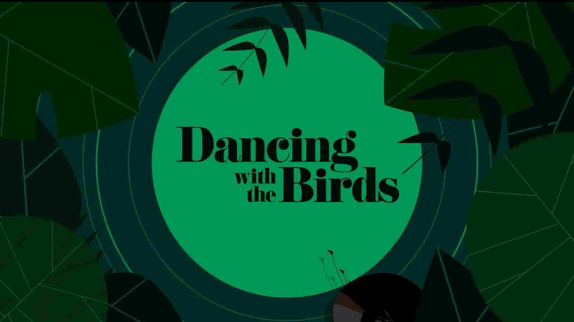 Netflix纪录片《与鸟共舞 Dancing with the Birds 2019》全1集 英语中字 4K超高清网盘下载