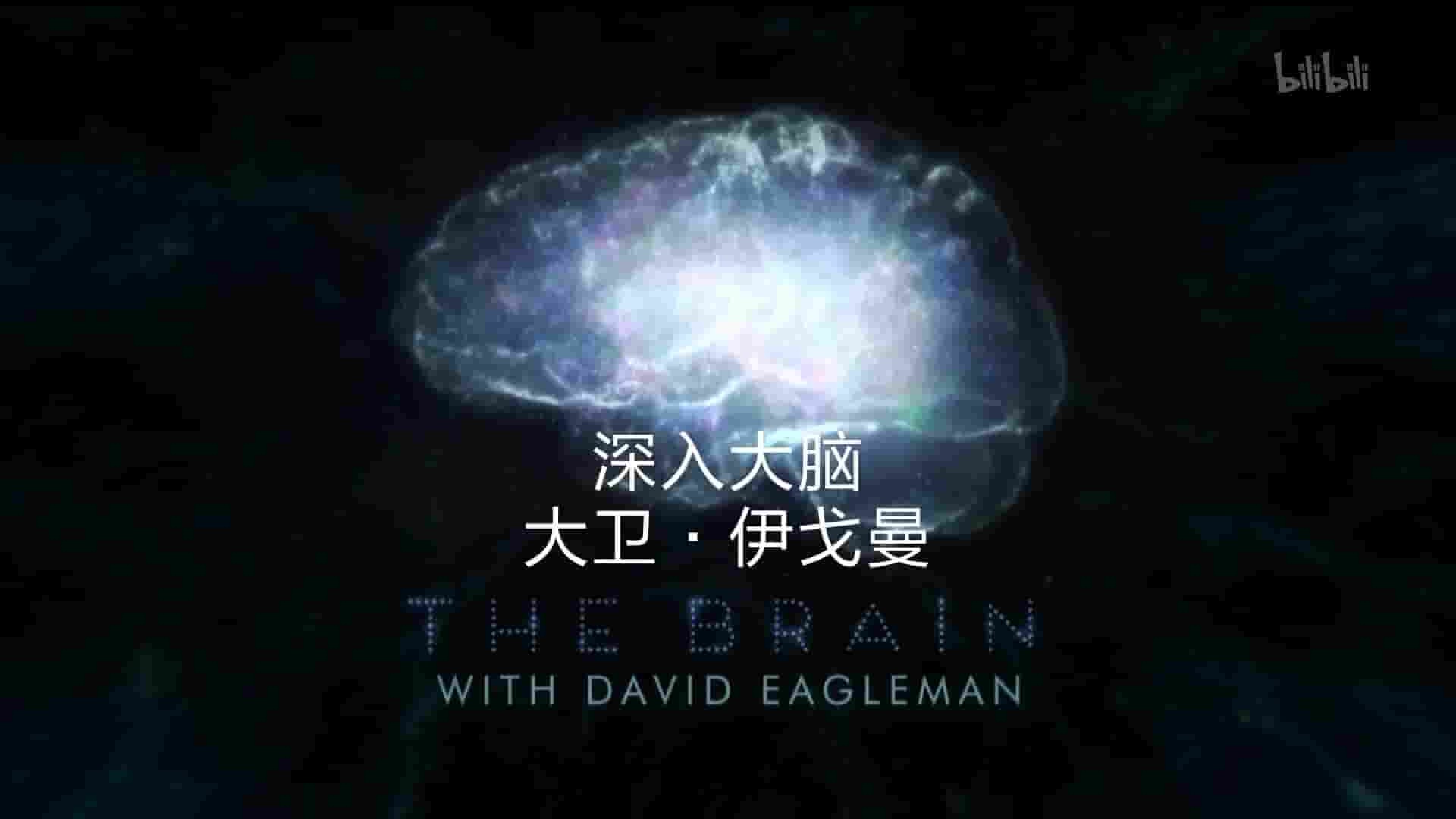 PBS纪录片《深入大脑 The Brain with David Eagleman 2015》全6集 英语中英双字 1080P高清网盘下载