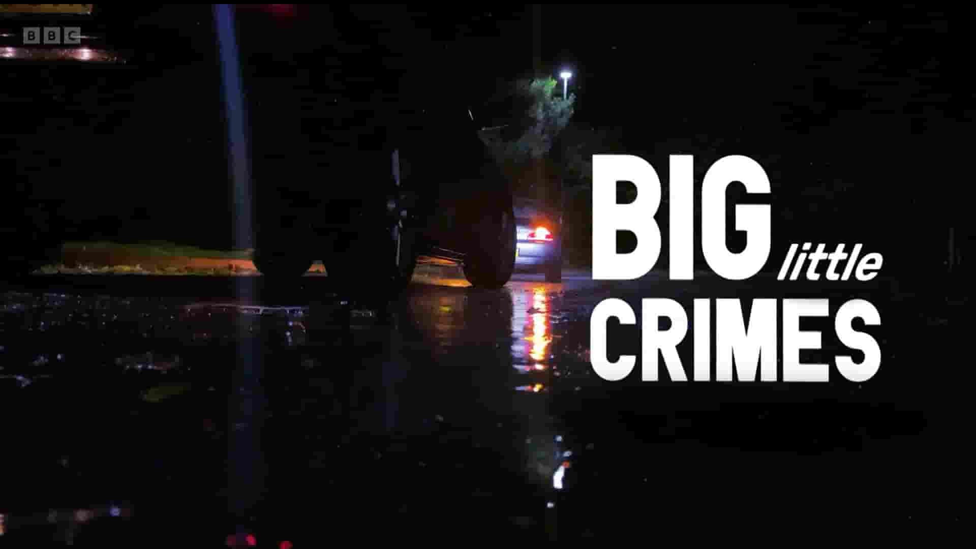 BBC纪录片《大小犯罪 Big Little Crimes 2023》第1季全10集 英语中英双字 1080P高清网盘下载