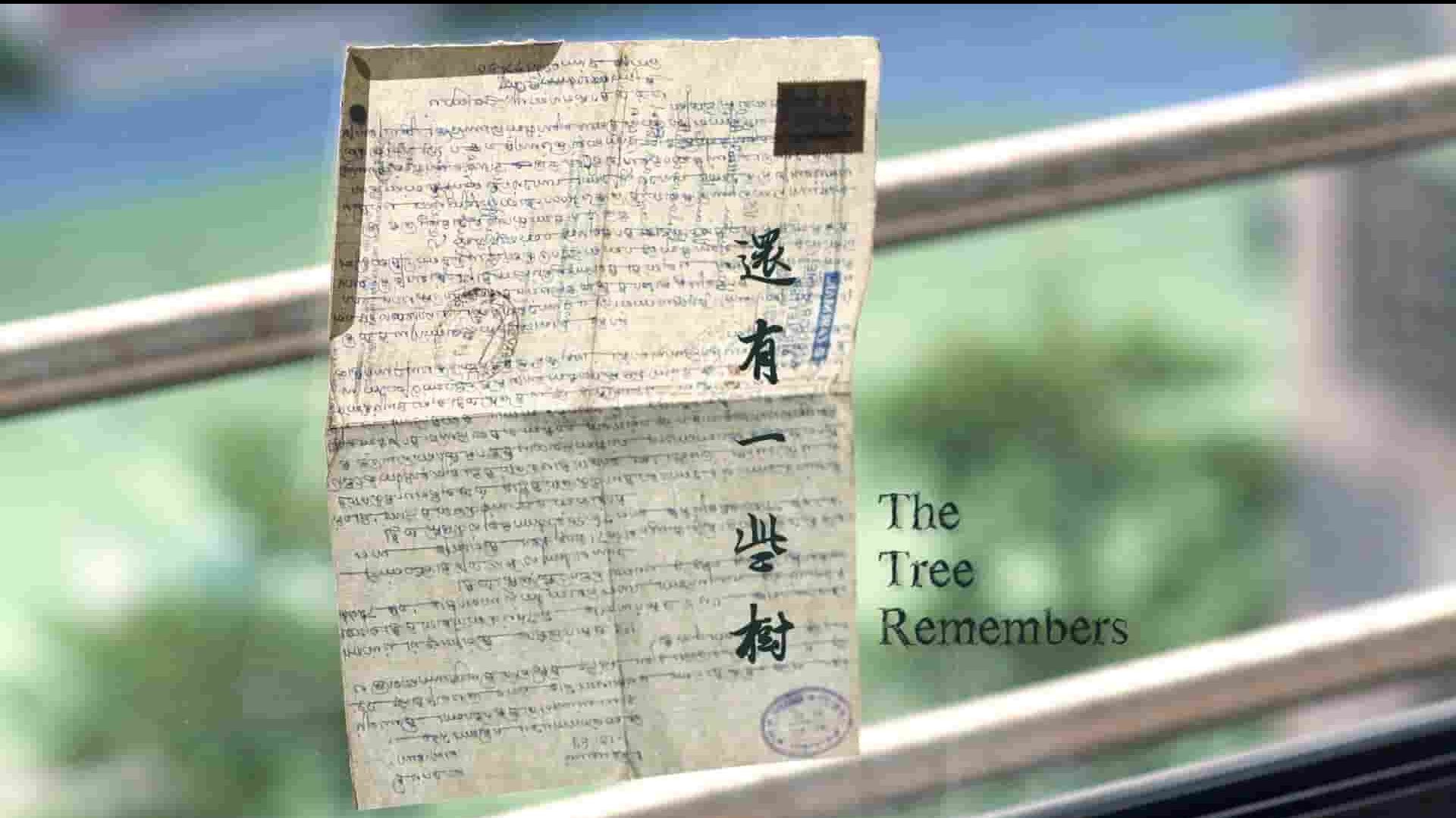 台湾纪录片《还有一些树 The Tree Remembers 2019》全1集 国语中字 1080P高清网盘下载