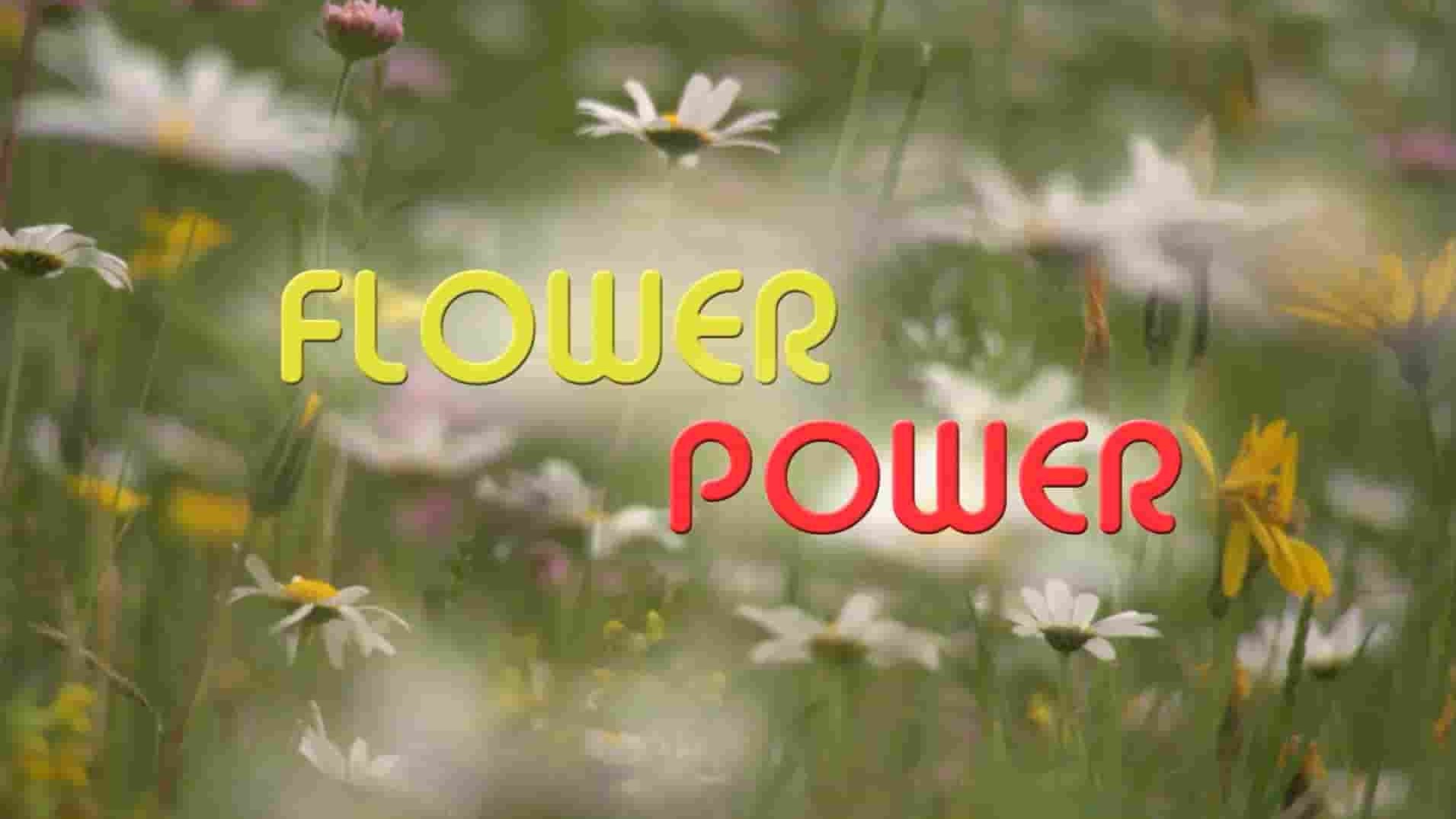 Curiosity纪录片《花的力量 Flower Power 2023》全1集 英语中英双字 1080P高清网盘下载