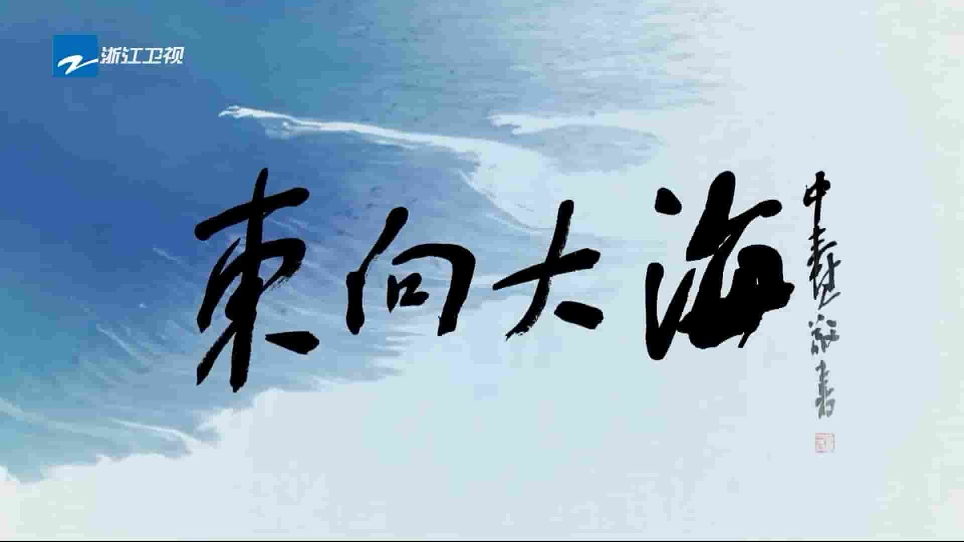 央视纪录片《东向大海》全3集 国语中字 1080P高清网盘下载