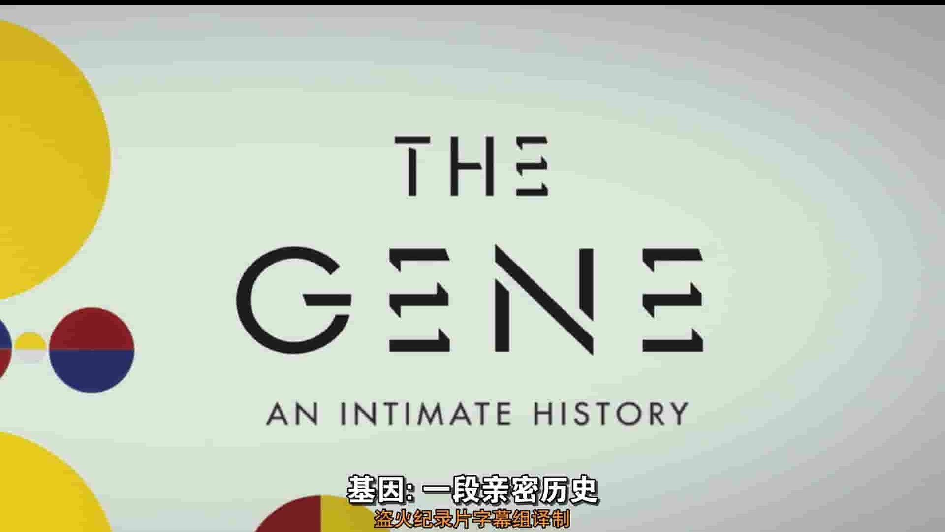 PBS纪录片《基因：一段亲密历史 The Gene An Intimate History》全2集 英语中字 1080P高清网盘下载
