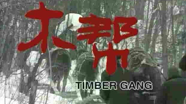 国产纪录片《木帮 Timber Gang 2006》全1集 国语无字 720p高清网盘下载