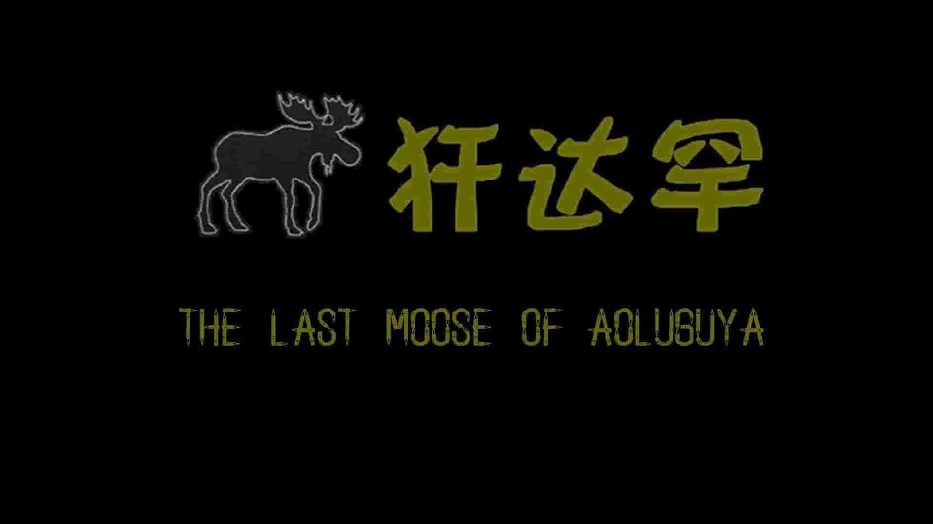 国产纪录片《犴达罕 he Last Moose of Ao Lu Gu Ya 2013》全1集 国语中英双字 标清网盘下载