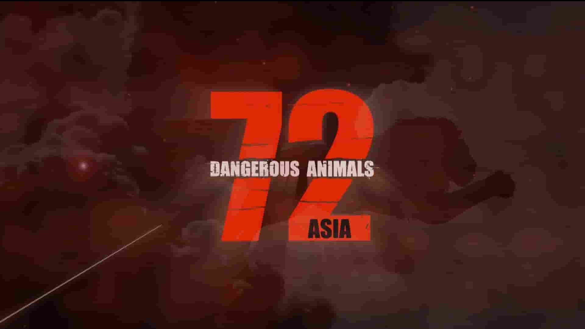 Netflix纪录片《72种危险动物：亚洲篇72 Dangerous Animals - Asia Season 1 (2018)》第1季 全12集 英语中字 1080p高清网盘下载
