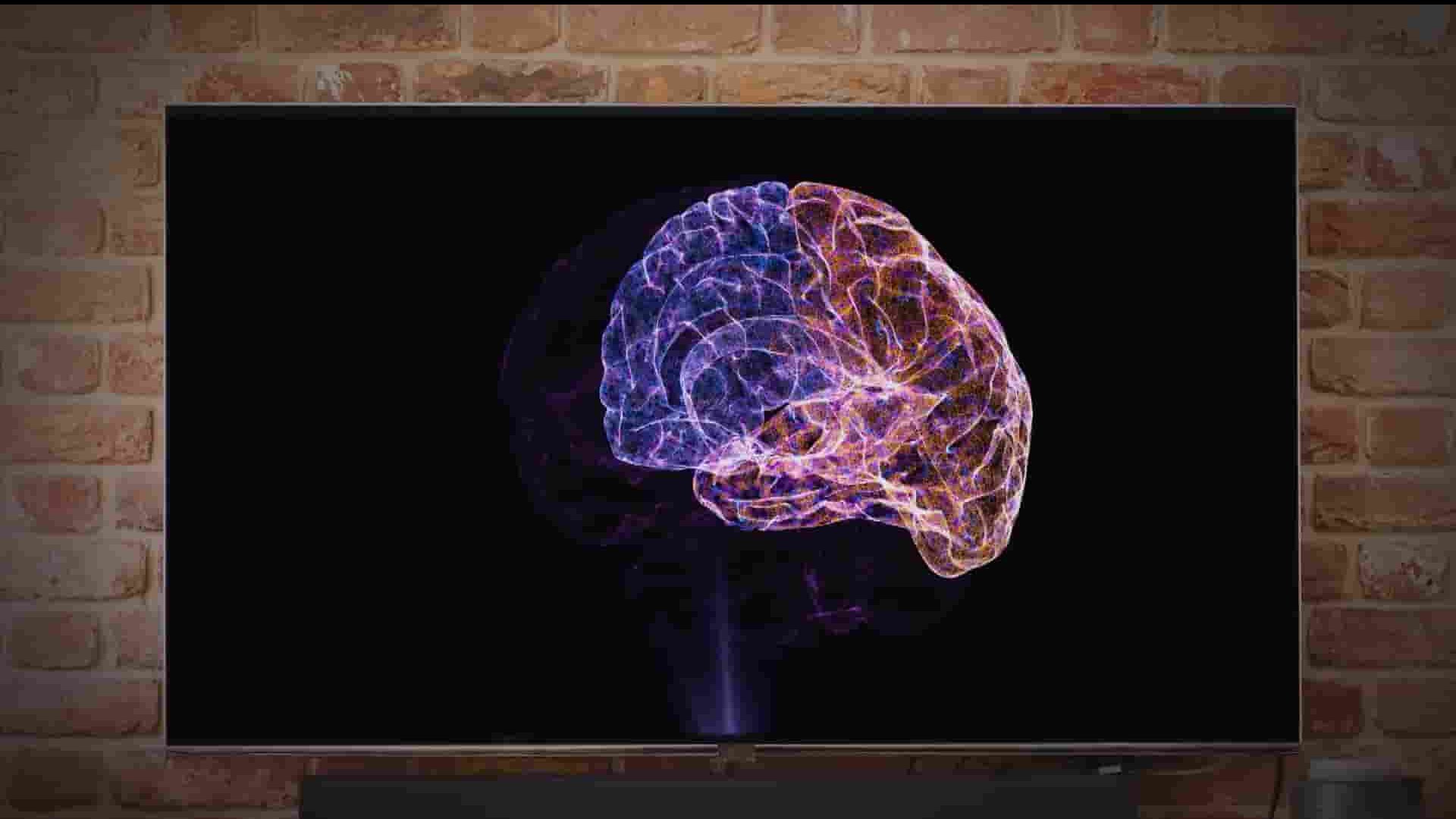 PBS纪录片《你的大脑 Your Brain 2023 》全2集 英语中英双字 1080P高清网盘下载
