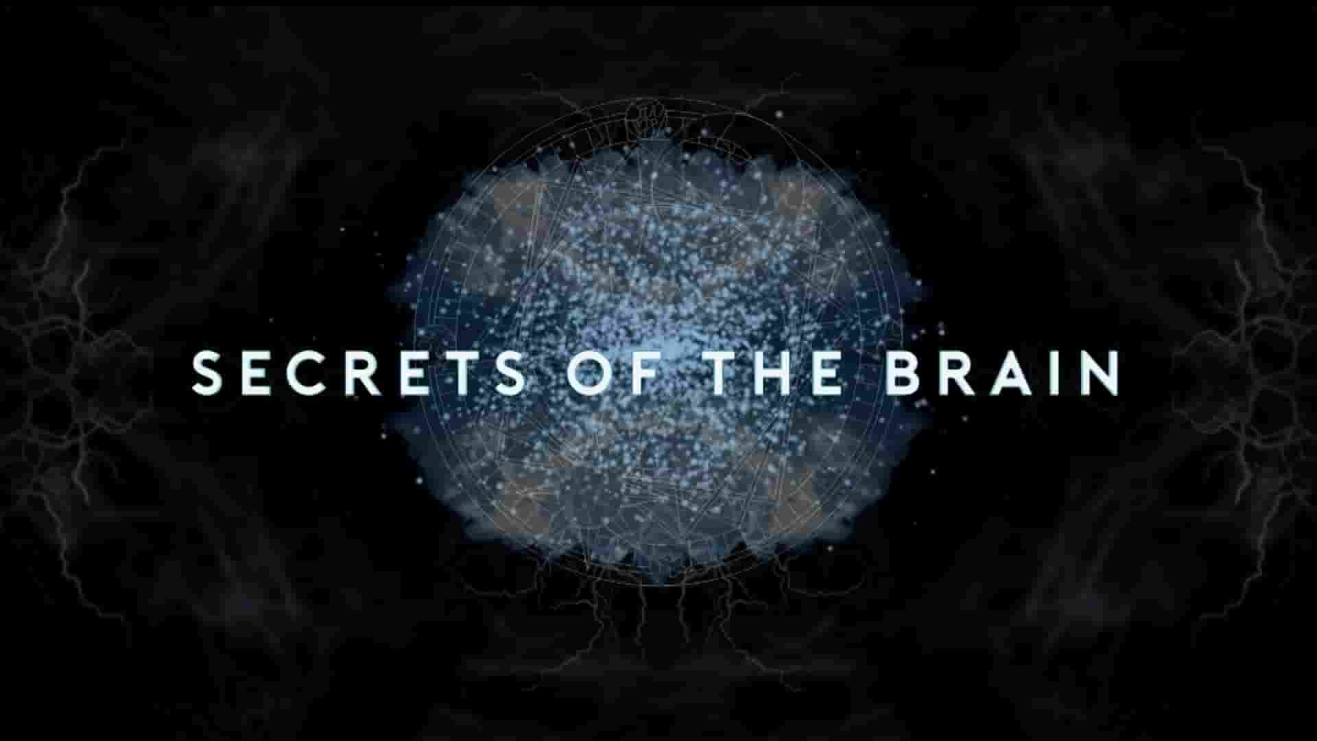 Curiosity纪录片《大脑的秘密 Secrets of the Brain 2021》第1-2季全20集 英语中英双字 1080P高清网盘下载