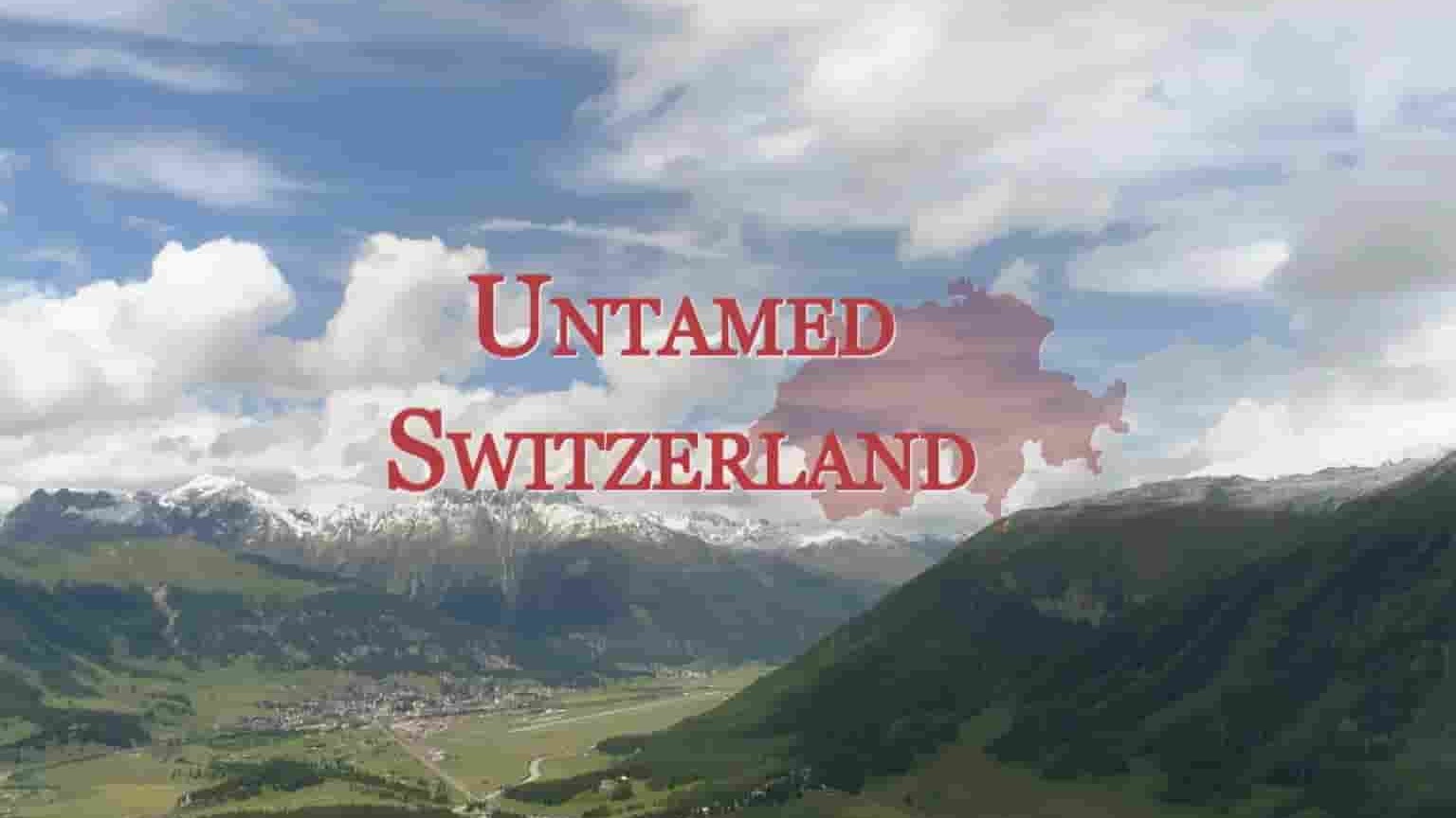 ZDF纪录片《野性十足的瑞士 Untamed Switzerland 2023》全4集 英语中英双字 1080P高清网盘下载