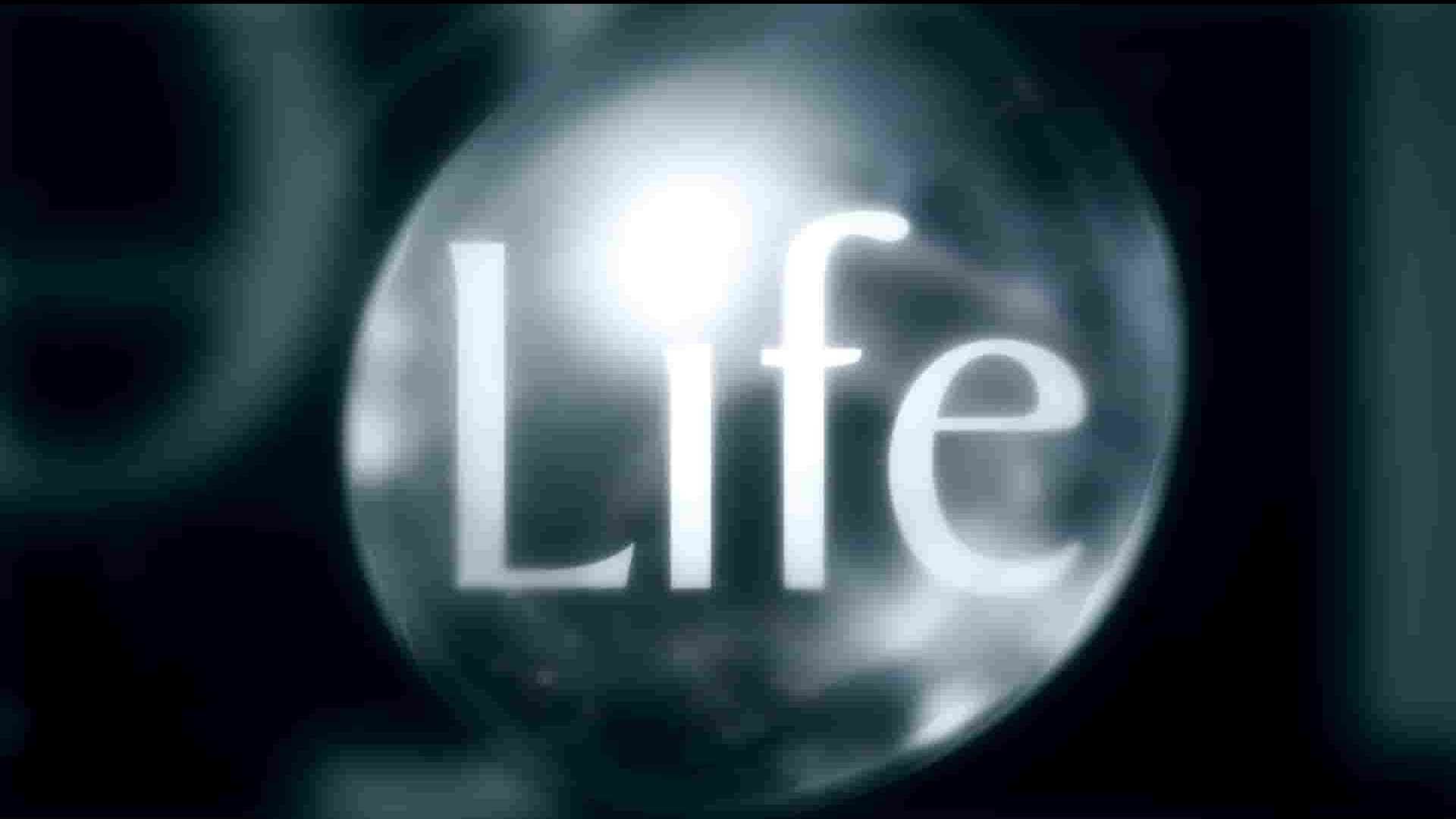 BBC纪录片《生命 Life 2009》第1季全10集 英语中英双字 1080P高清网盘下载