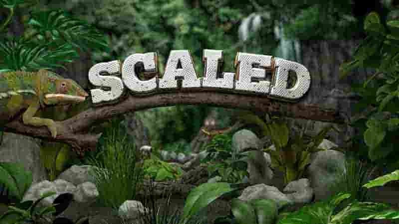 探索频道《微缩环境 Scaled 2018》第1季全10集 英语中英双字 1080P高清网盘下载
