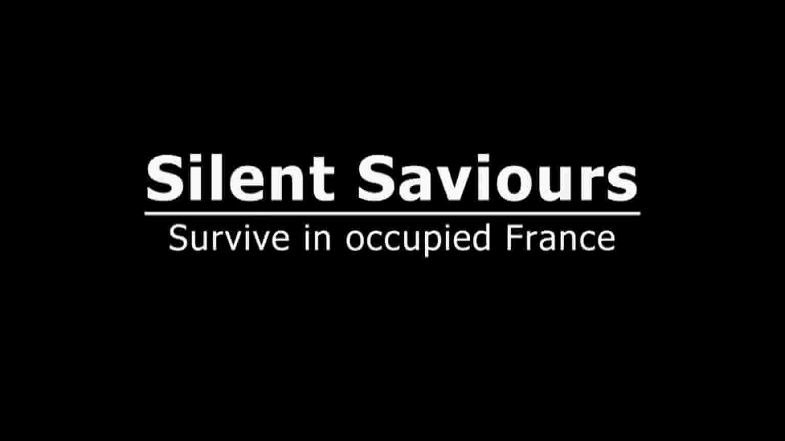 美国纪录片《沉默的救世主 Silent Saviours 2021》全1集 英语中英双字 1080P高清网盘下载