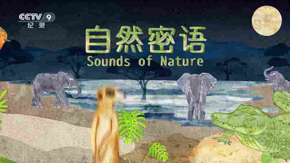 央视纪录片《自然密语 Sounds of Nature》全3集 国语中字 1080P高清网盘下载 