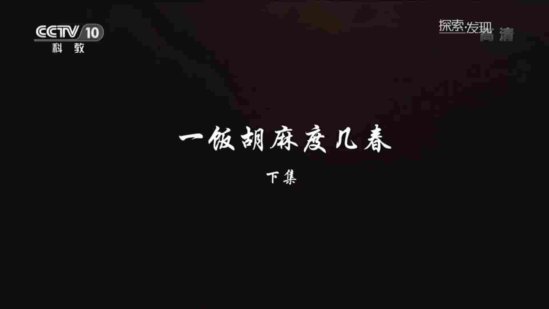 央视纪录片《一饭胡麻度几春 2016》全2集 国语中字 1080P高清网盘下载