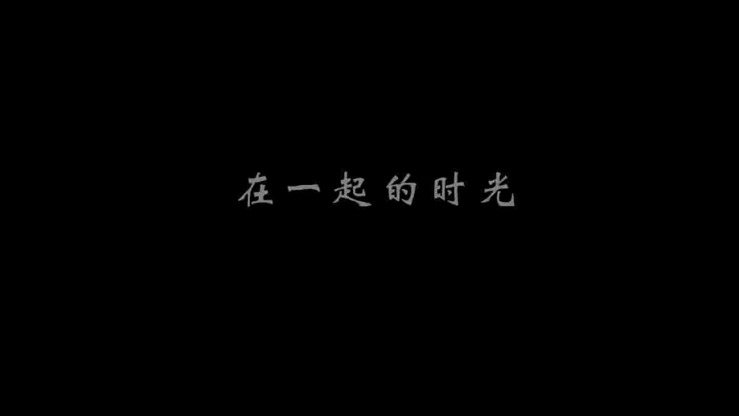 国产纪录片《在一起的时光 Wellspring 2004》全1集 国语中字 1080P高清网盘下载