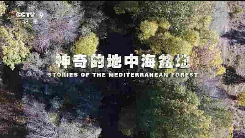 央视纪录片《神奇的地中海盆地 Stories of the Mediterranean Forest 2017》全2集 国语中字 1080P高清网盘下载