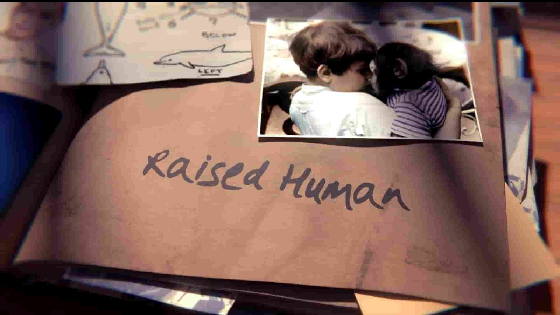 探索频道《被人类抚养 Raised Human 2014》全3集 英语中英双字 1080P高清网盘下载