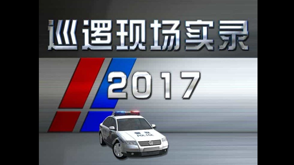 国产纪录片《巡逻现场实录2017-2018》第1-2季全18集 国语中字 1080p高清网盘下载