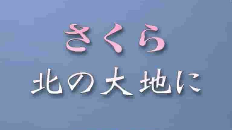 NHK纪录片自然风光《大地之春·北海道特别节目——盛开在北方大地的樱花 2006》全1集 日语中字 标清网盘下载