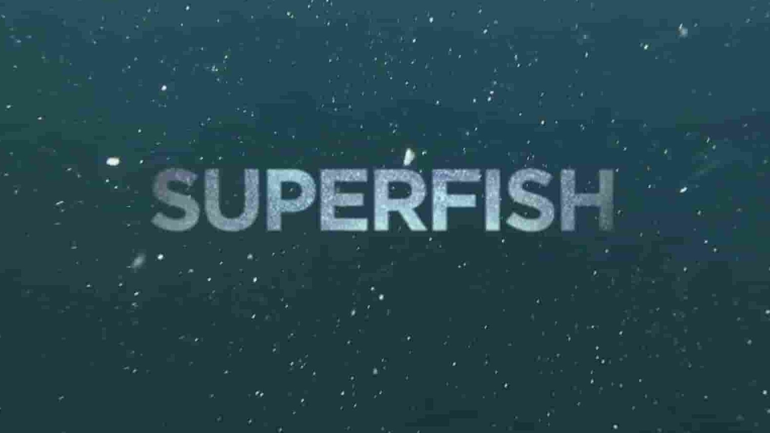 BBC自然世界《超级鱼类：蓝鳍金枪鱼 Superfish Bluefin Tuna 2012》全1集 英语英字 1080P高清网盘下载