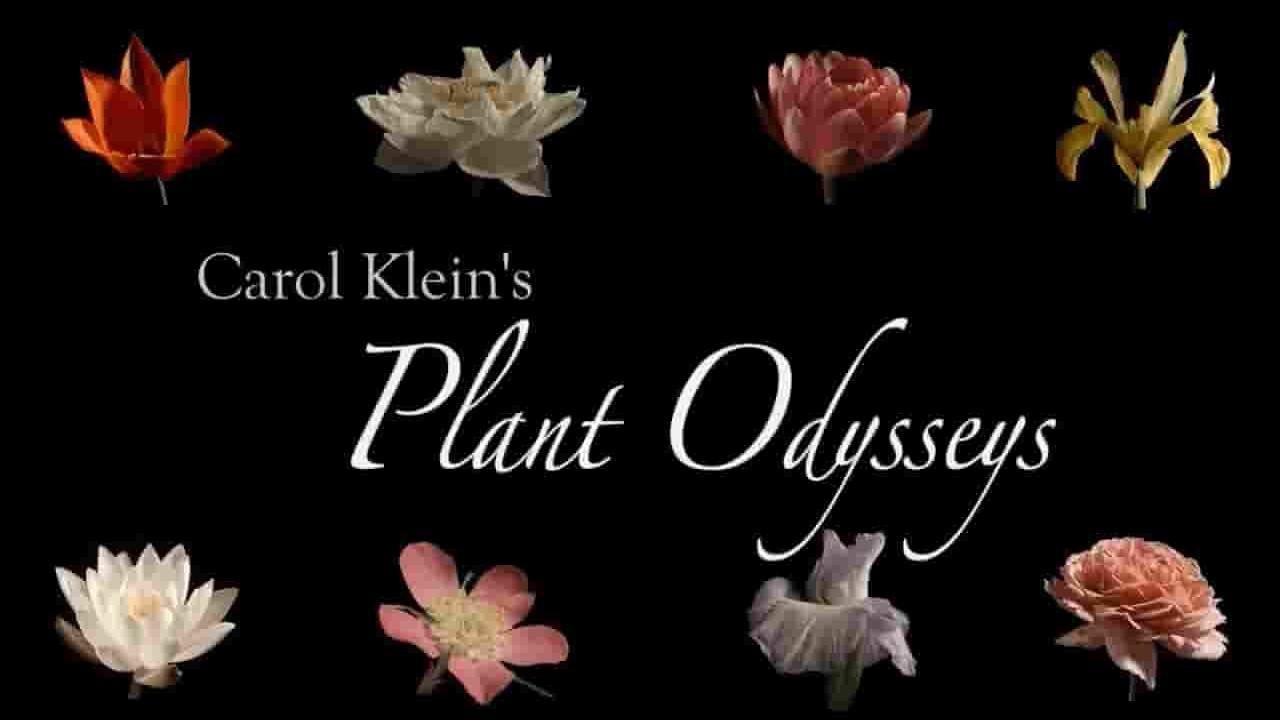 BBC纪录片《卡罗尔·克莱恩的植物巡礼 Carol Klein’s Plant Odysseys 2015》全4集 英语英字 720P高清网盘下载