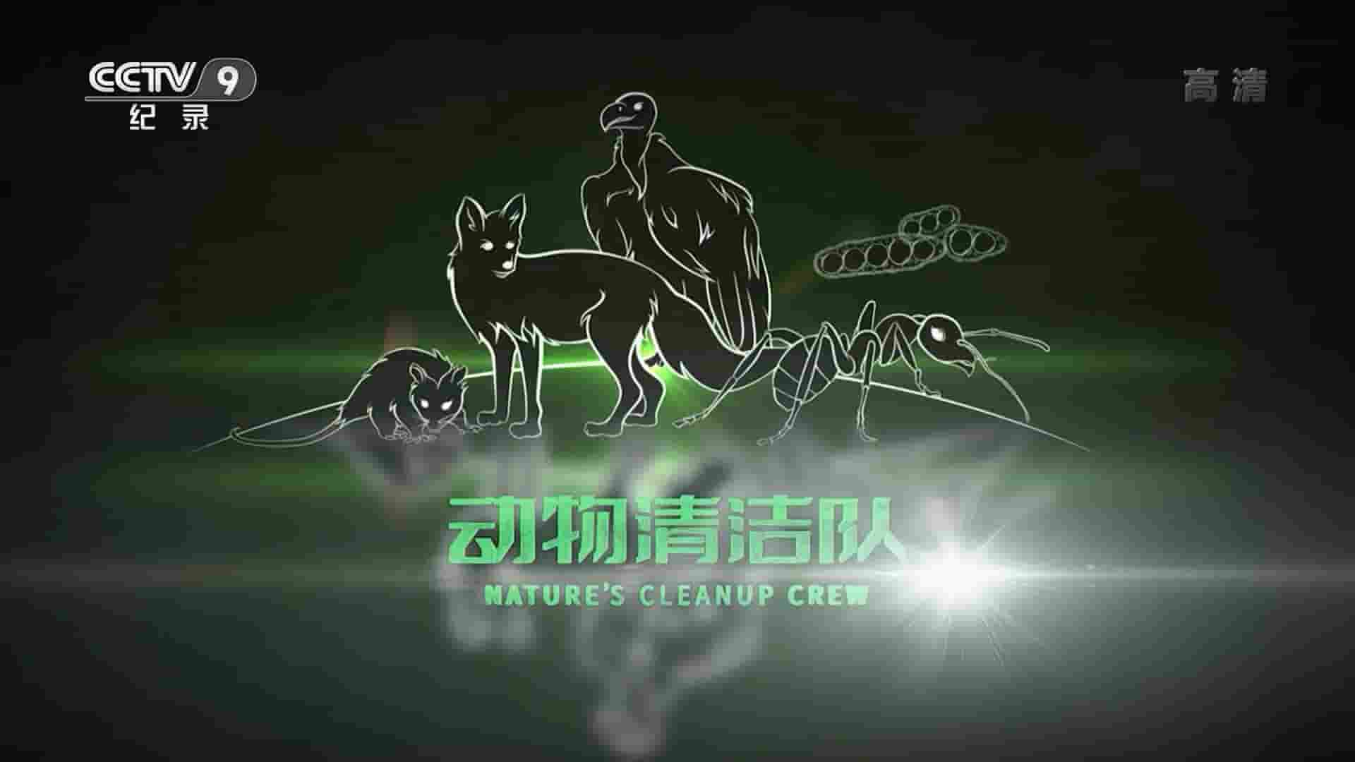 央视纪录片/CBC纪录片《动物清洁队 Nature’s Cleanup Crew 2021》全1集 国语中字 1080P高清网盘下载