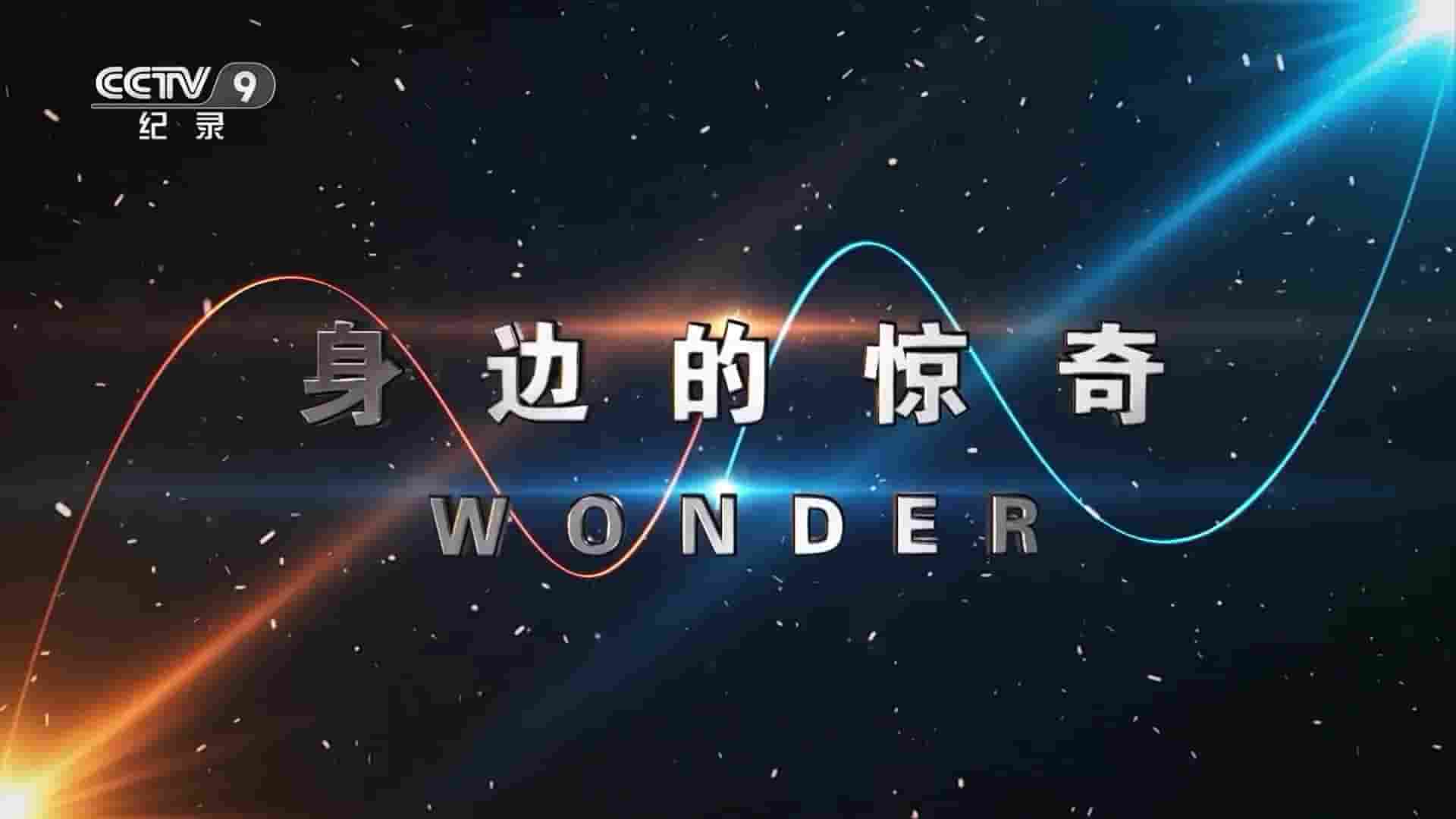 央视纪录片/加拿大纪录片《身边的惊奇 Wonder 2020》全2集 国语中字 1080P高清网盘下载