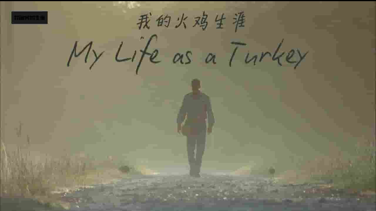 BBC纪录片《我的火鸡生活/我的火鸡生涯 My Life as a Turkey 2011》全1集 英语内嵌中英双字 720P高清网盘下载