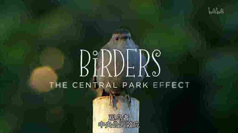 美国纪录片《观鸟者：中央公园效应 Birders: The Central Park Effect 2012》全1集 英语中英双字 1080P高清网盘下载